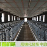 規(guī)?；B(yǎng)豬場(chǎng)設(shè)備終末消毒方法(安全程序)